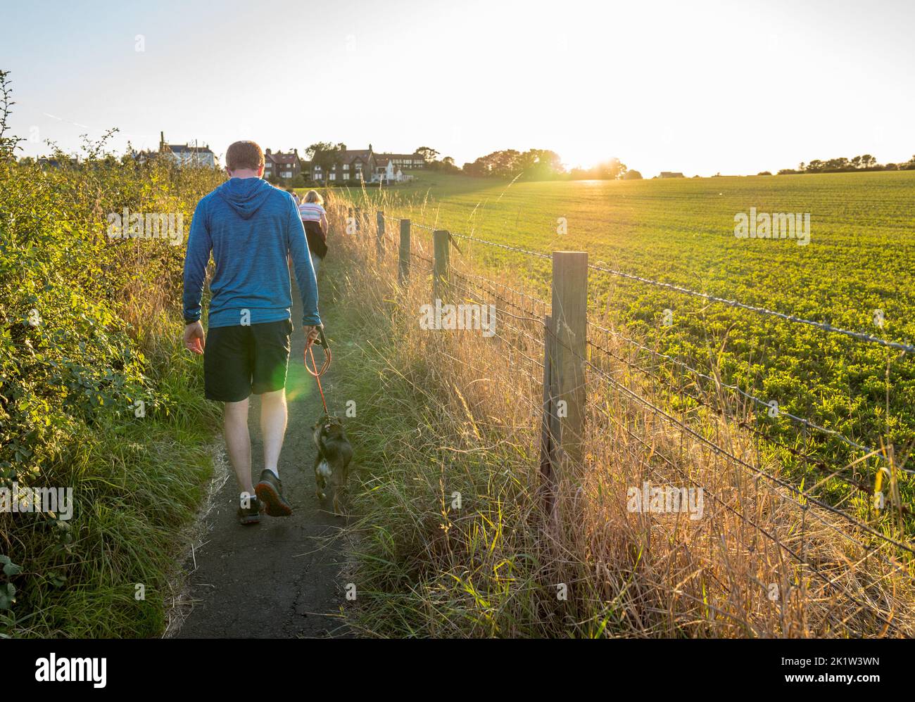 Uomo con cane da compagnia che cammina lungo un sentiero a piedi in tarda serata luce del sole. Foto Stock