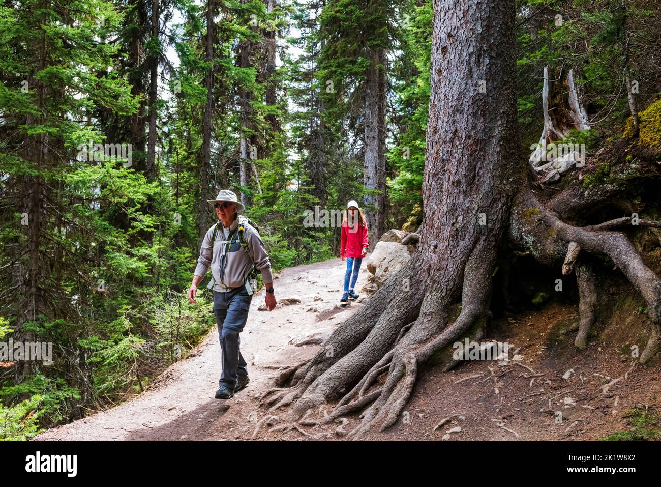 Due escursionisti che scendono dal Lake Agnes Trail; Lake Louise; Banff National Park; Alberta; Canada Foto Stock