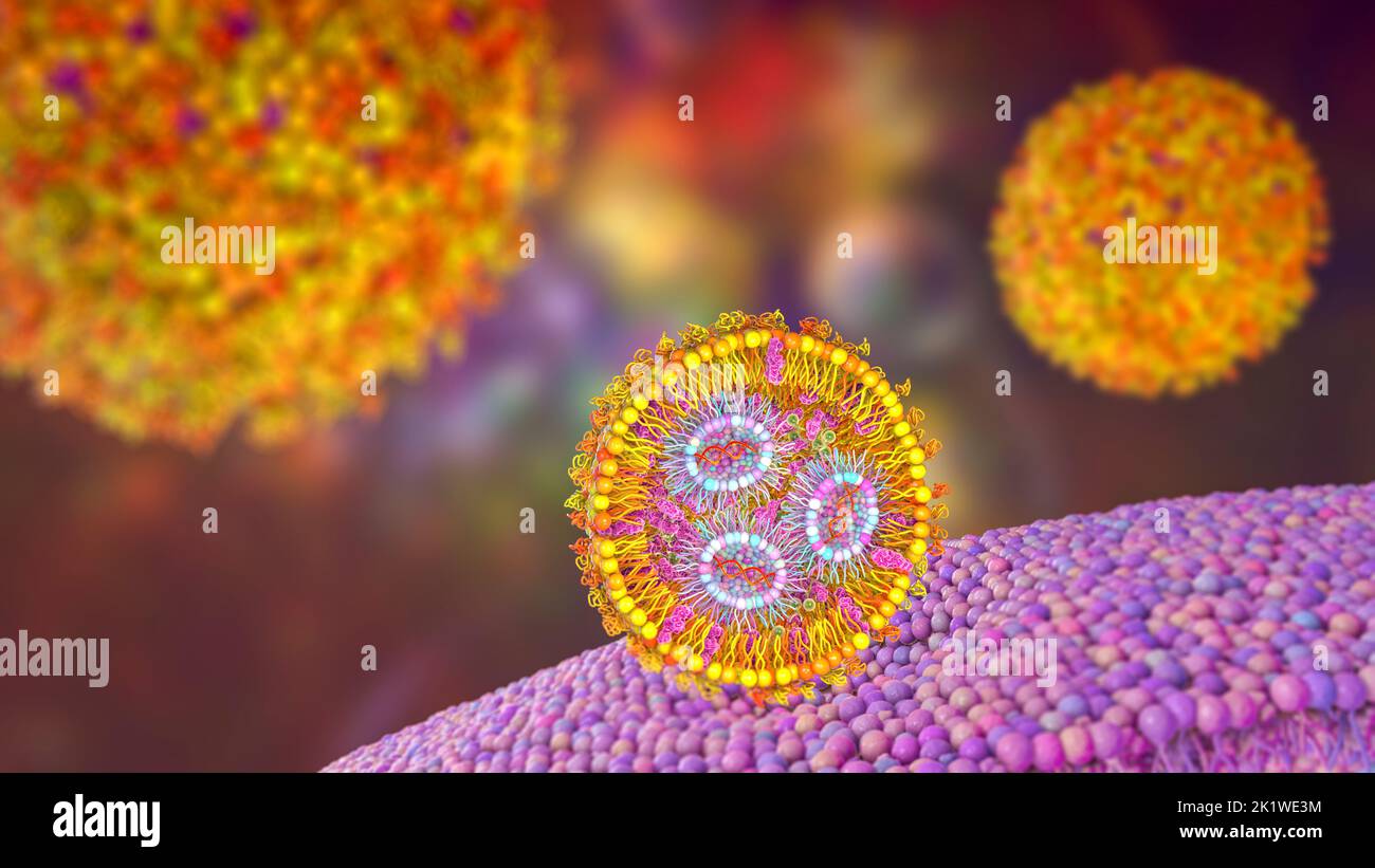 Nanoparticella lipidica di siRNA antivirale, illustrazione Foto Stock