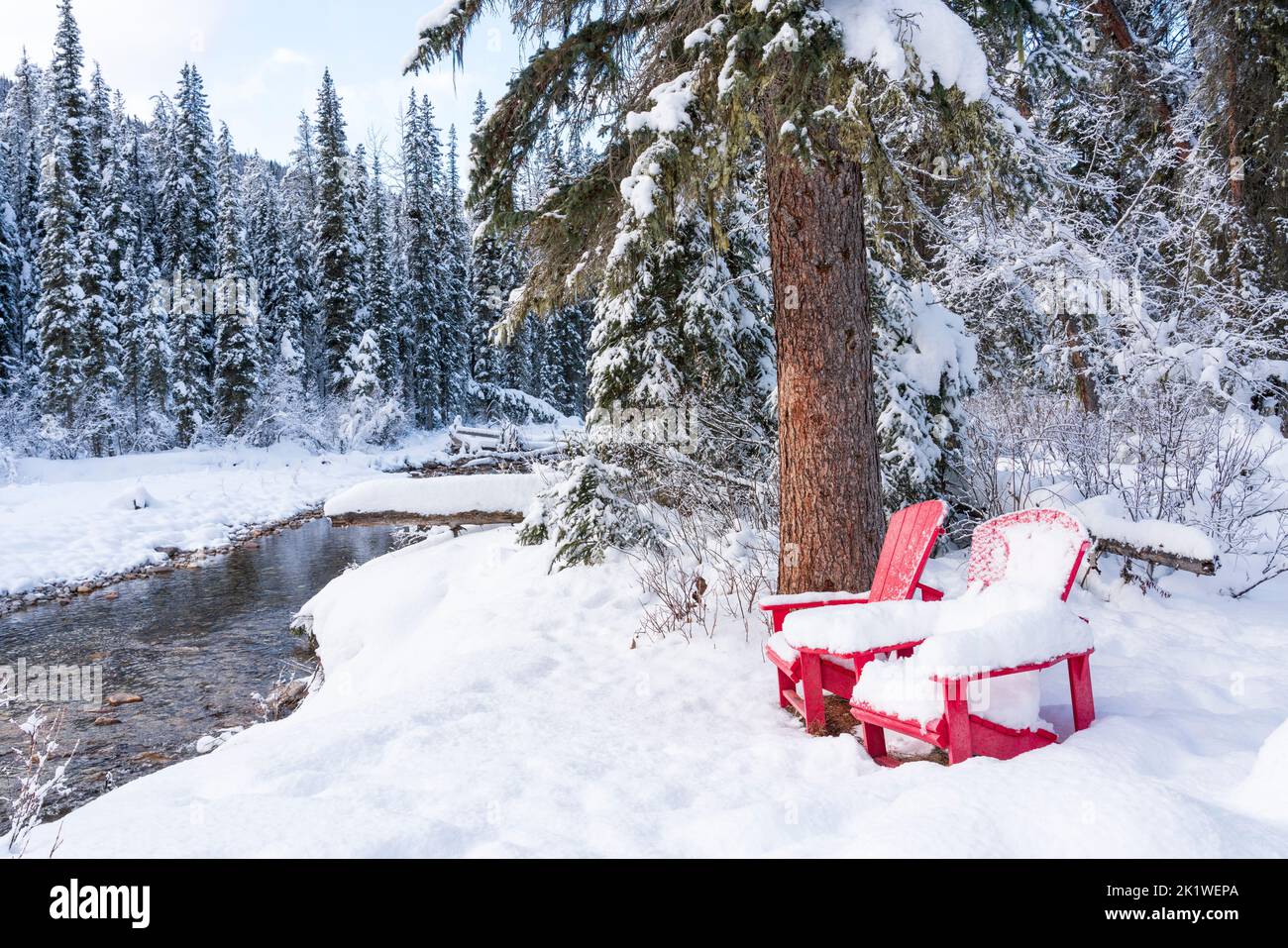 Un luogo per picnic lungo la strada del lago Maligne in inverno, Jasper National Park, Alberta, Canada. Foto Stock
