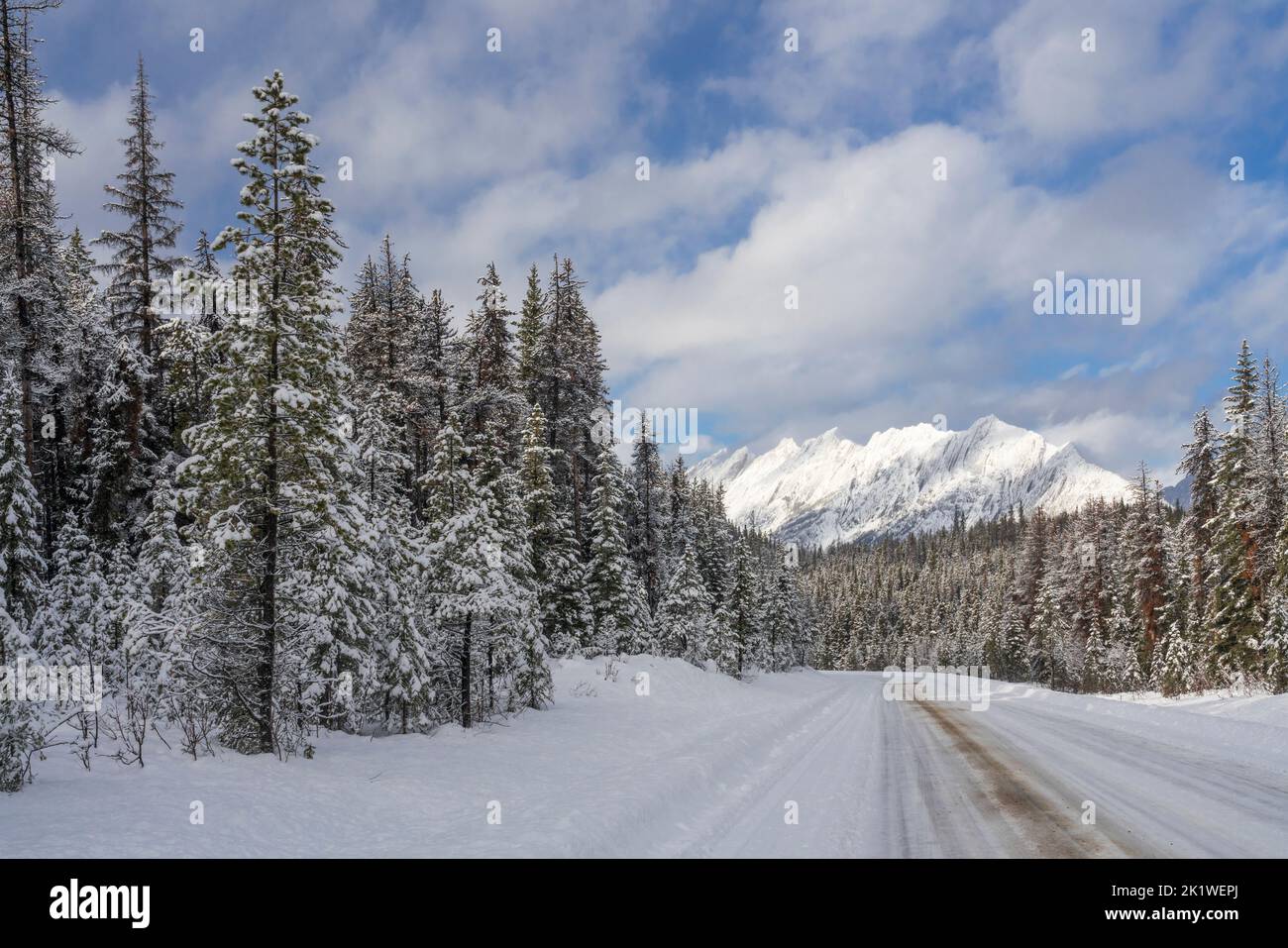 Una montagna e foresta panoramica lungo la strada Maligne Lake in inverno, Jasper National Park, Alberta, Canada. Foto Stock