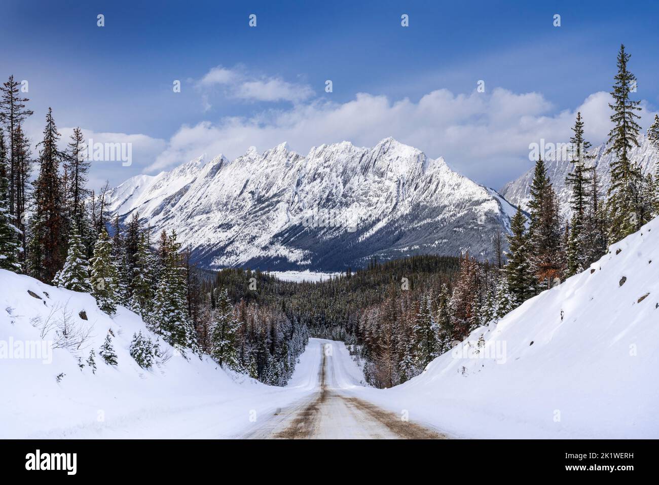 Una montagna e foresta panoramica lungo la strada Maligne Lake in inverno, Jasper National Park, Alberta, Canada. Foto Stock