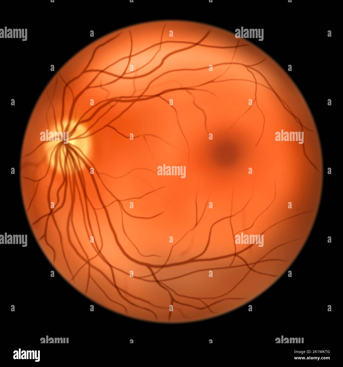 Retina sana, Foto Stock