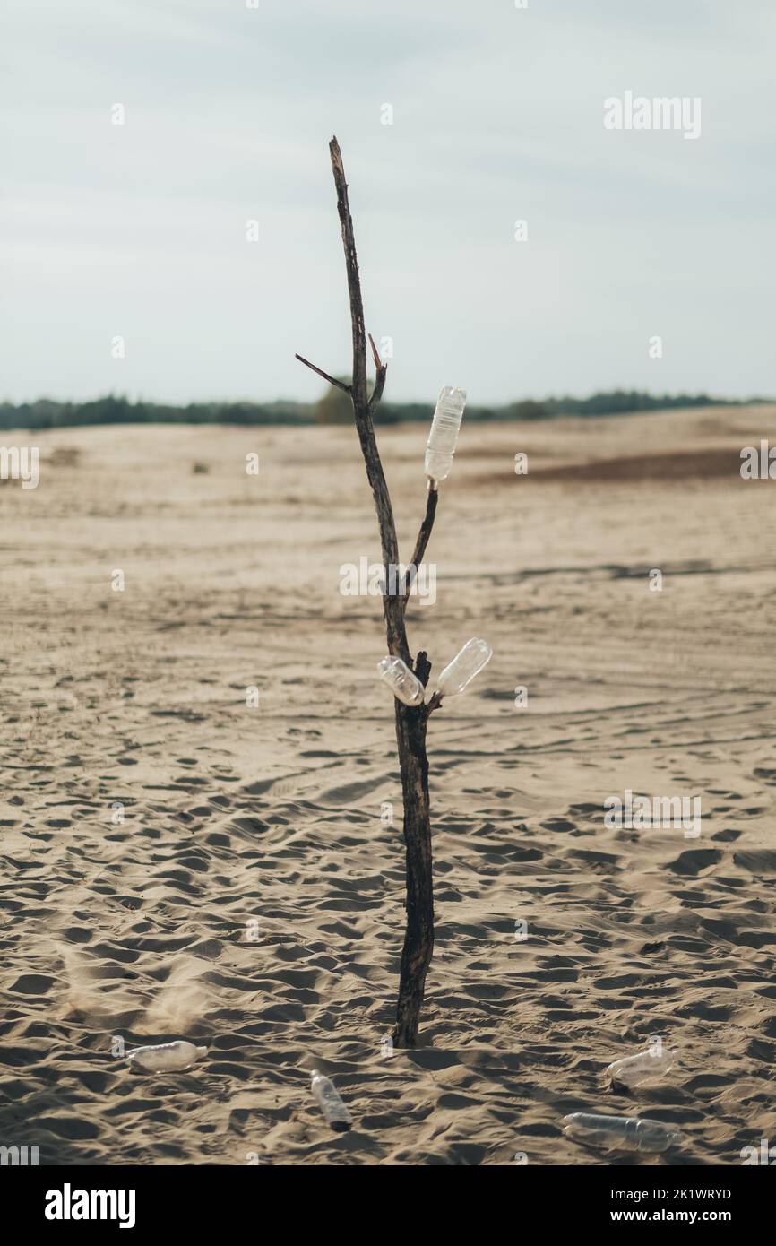 Salvare la natura. Inquinamento della plastica. Problema ecologico. Riscaldamento globale. Cambiamento climatico siccità. Rifiuti di bottiglie vuote usate su albero secco sulla spiaggia deserta di sabbia l Foto Stock