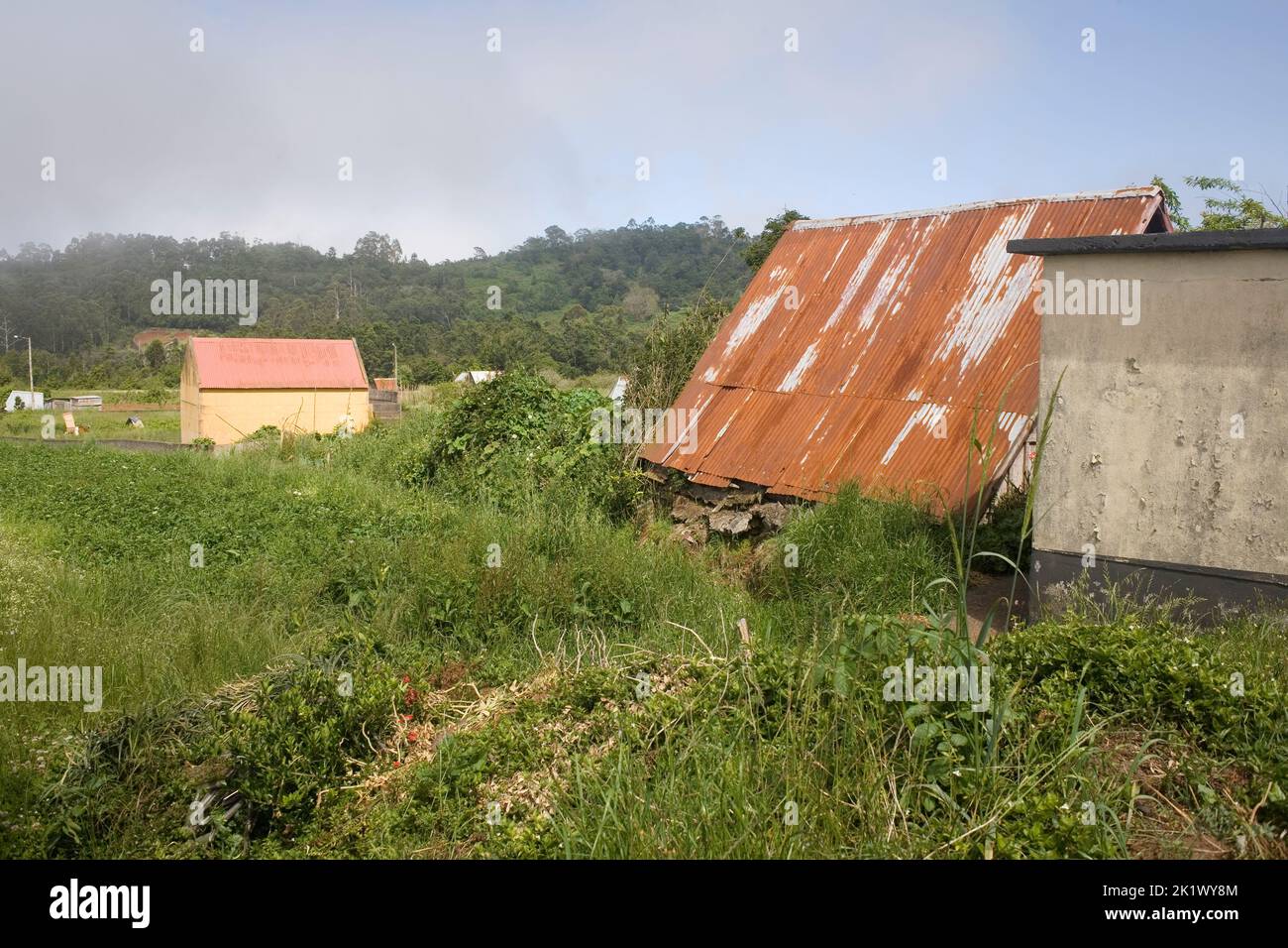Fienili e altri annessi in una piccola fattoria nel villaggio di Lombo do Curral, alla periferia di Santana, nel nord-est di Madeira Foto Stock