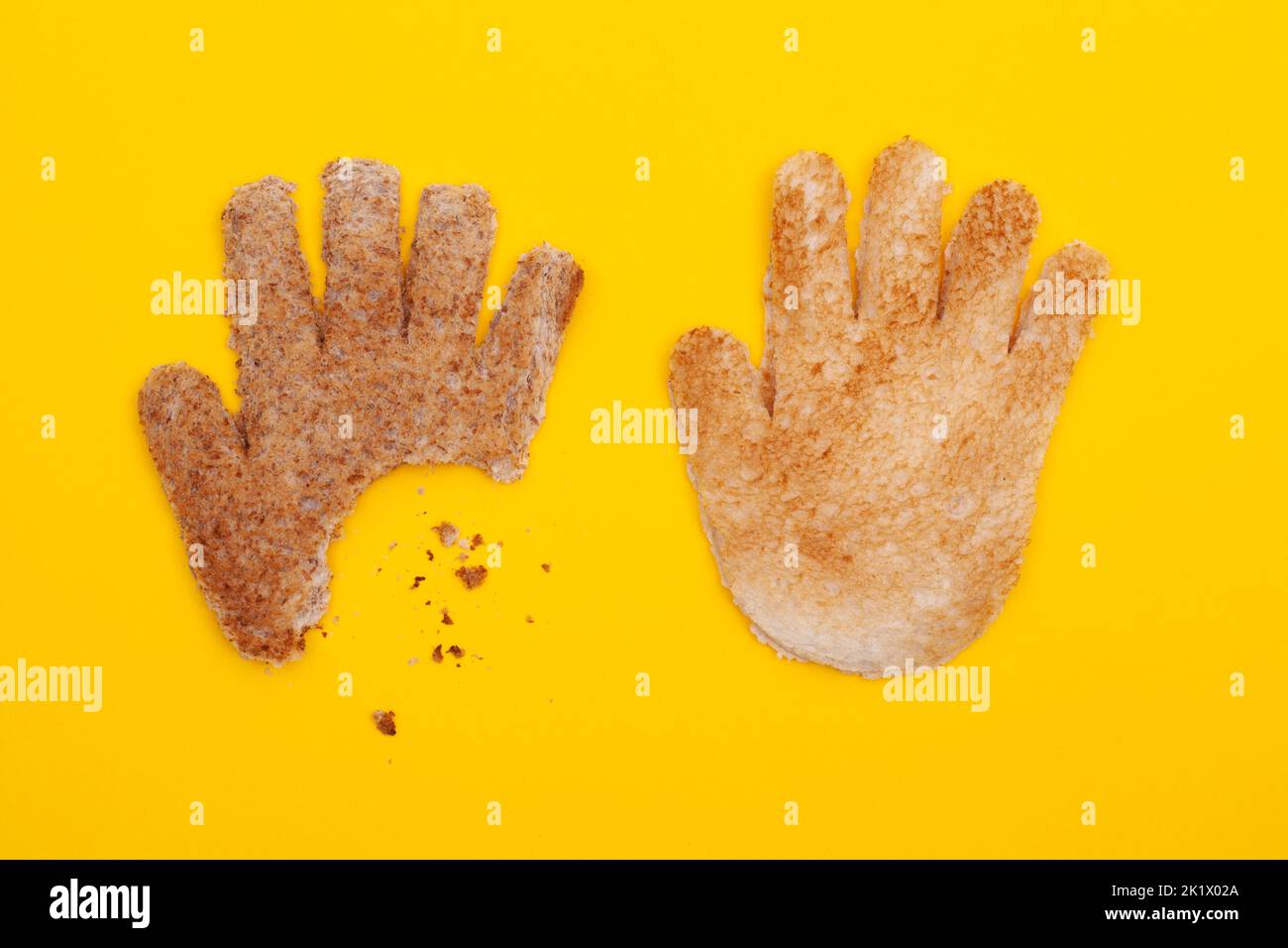 Il pane tostato si forma a mano con un boccone da una mano. Mordere la mano che ti nutre concetto isolato su sfondo giallo Foto Stock
