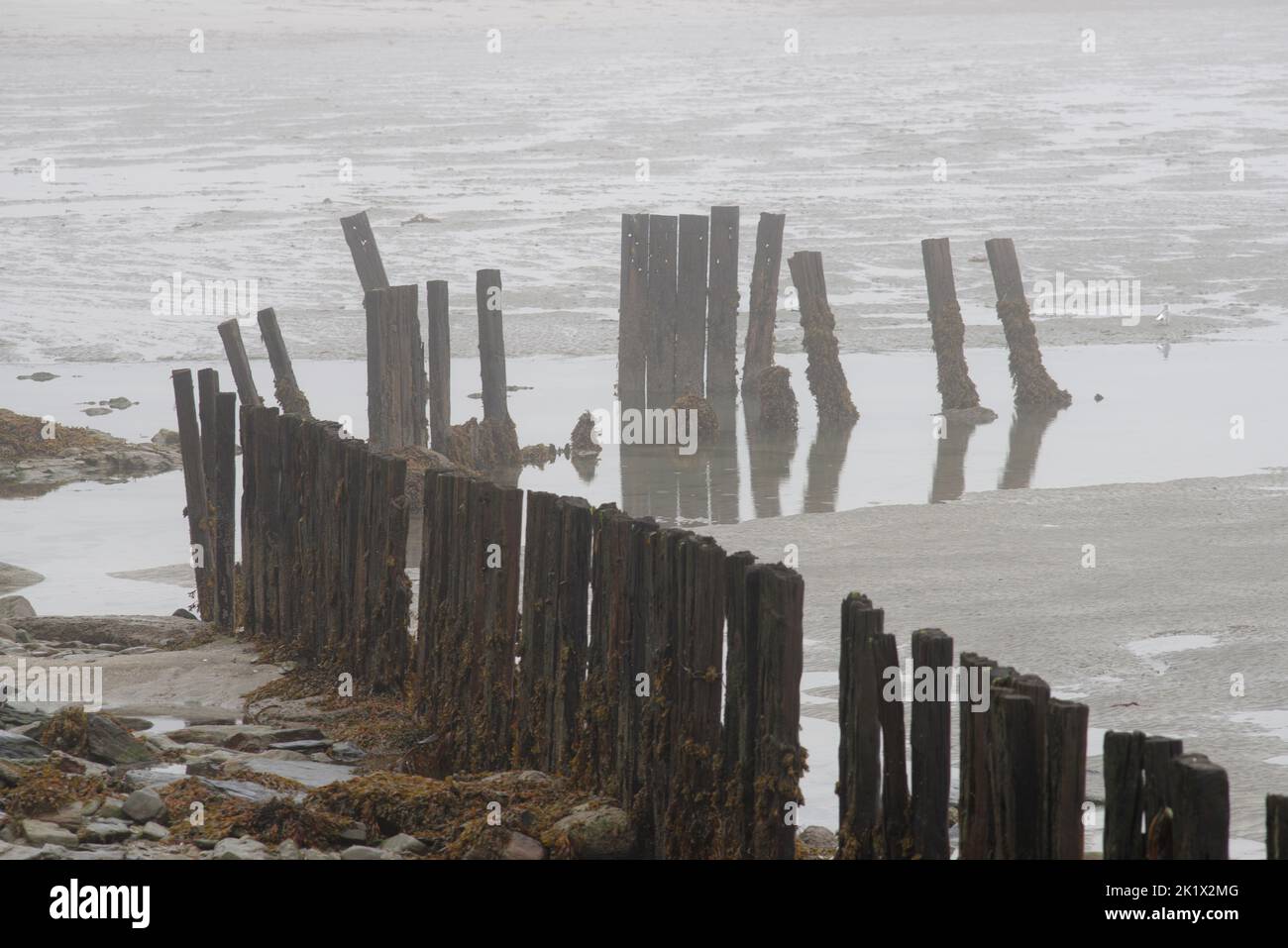 Misty seascape con i resti di un gallo di metallo arrugginito o di un molo da spiaggia. La marea è fuori rivelando la spiaggia sabbiosa. Foto Stock