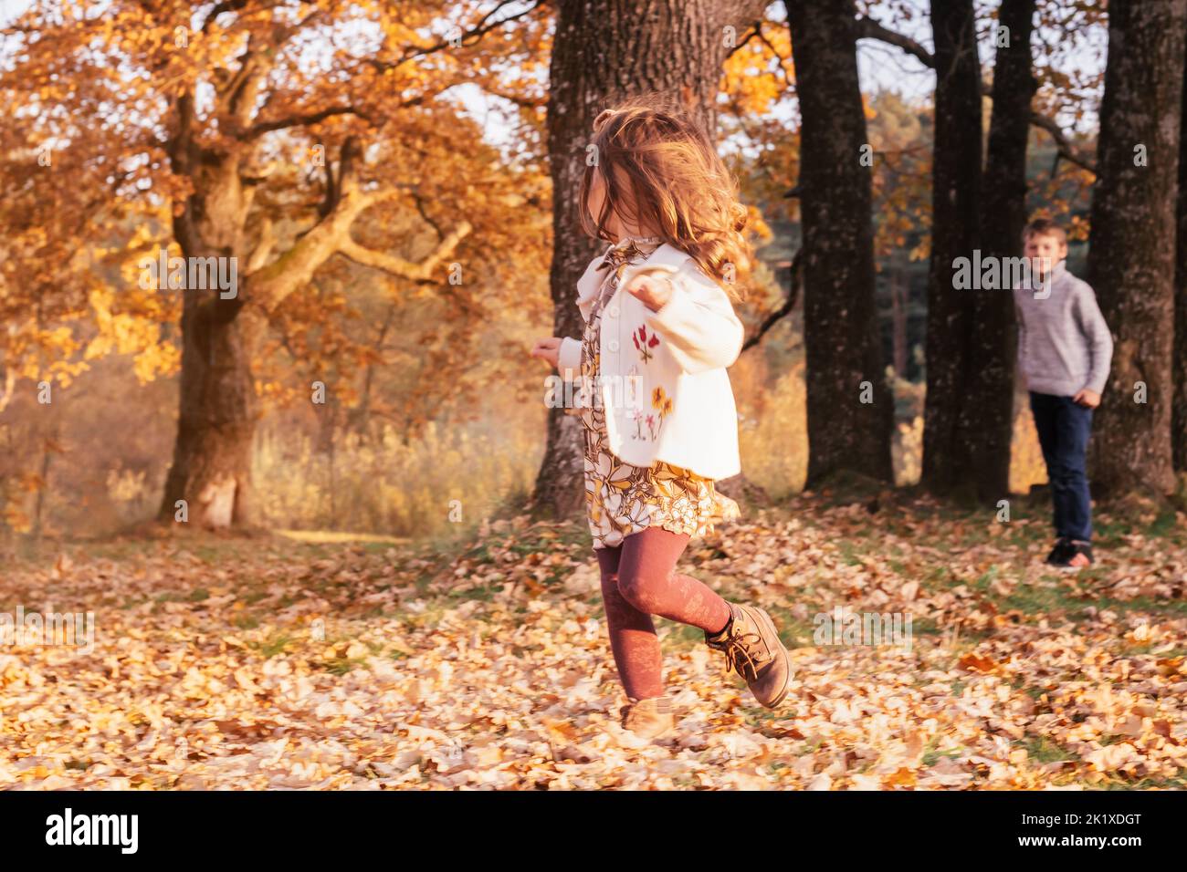 Bambina di 3-4 anni corre da fratello ragazzo di 9-10 anni in autunno lascia all'aperto vicino a grandi tronchi di quercia spessa nel parco in raggi di sole tramontare Foto Stock