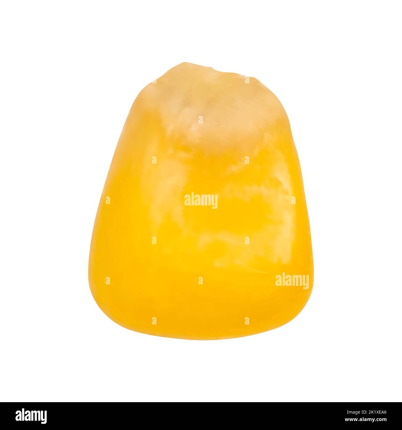 Grano isolato su sfondo bianco. Immagine colorata di grano di mais. Illustrazione della mesh vettoriale. Illustrazione Vettoriale