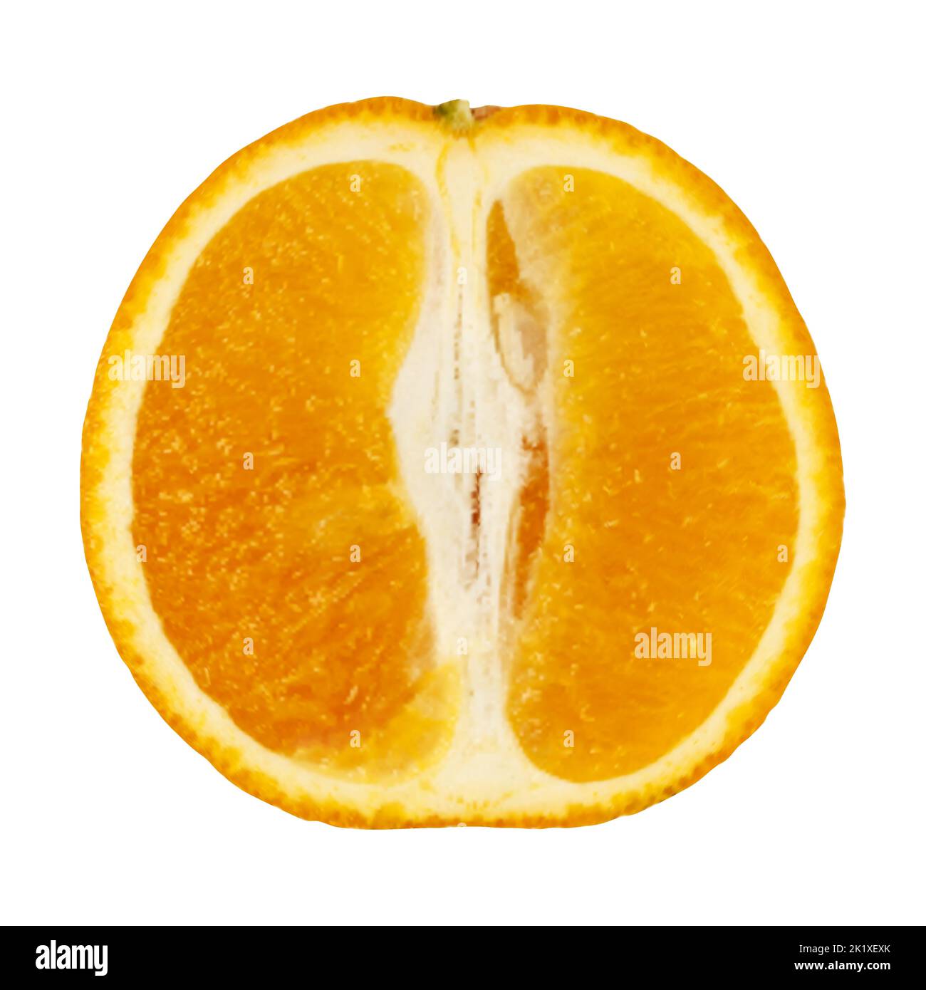 Arancione isolato su sfondo bianco. Immagine realistica di arancione. Illustrazione della mesh vettoriale. Illustrazione Vettoriale