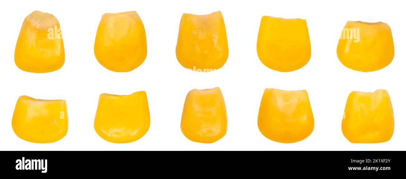 Granaglie di mais isolate su sfondo bianco. Immagine a colori di diversi chicchi di mais. Illustrazione della mesh vettoriale. Illustrazione Vettoriale