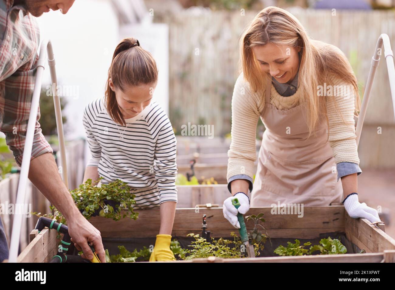 Insegnare verde living. Una famiglia che fa giardinaggio insieme nel loro cortile. Foto Stock