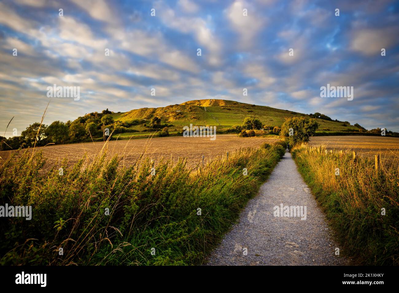 Cley Hill al crepuscolo, Wiltshire Foto Stock