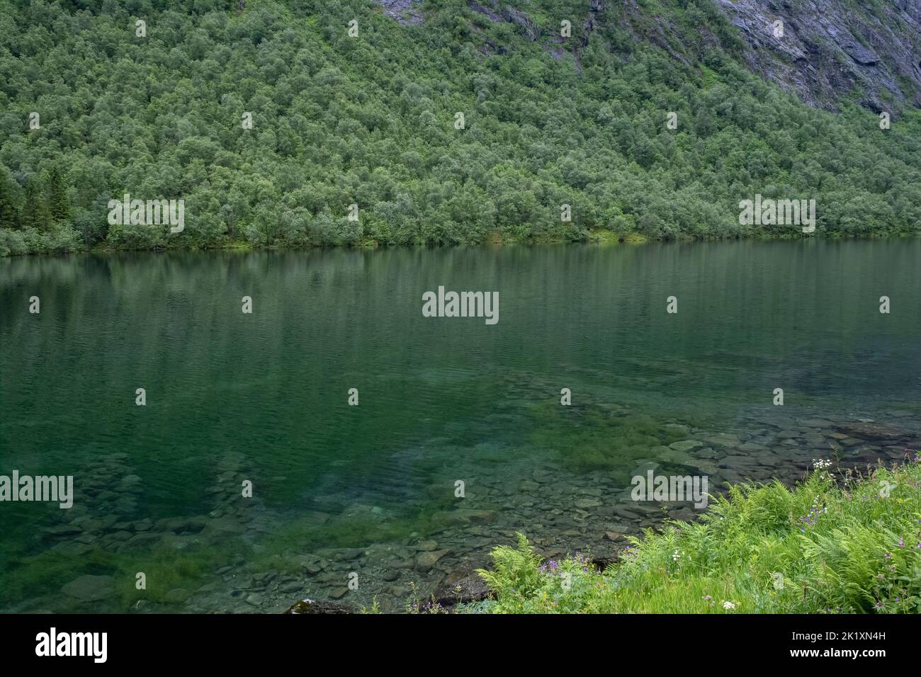 Paesaggi meravigliosi in Norvegia. Vestland. Splendido scenario del lago Lygnstoylvatnet. Resti delle fondamenta della casa allagata attraverso la superficie di t Foto Stock
