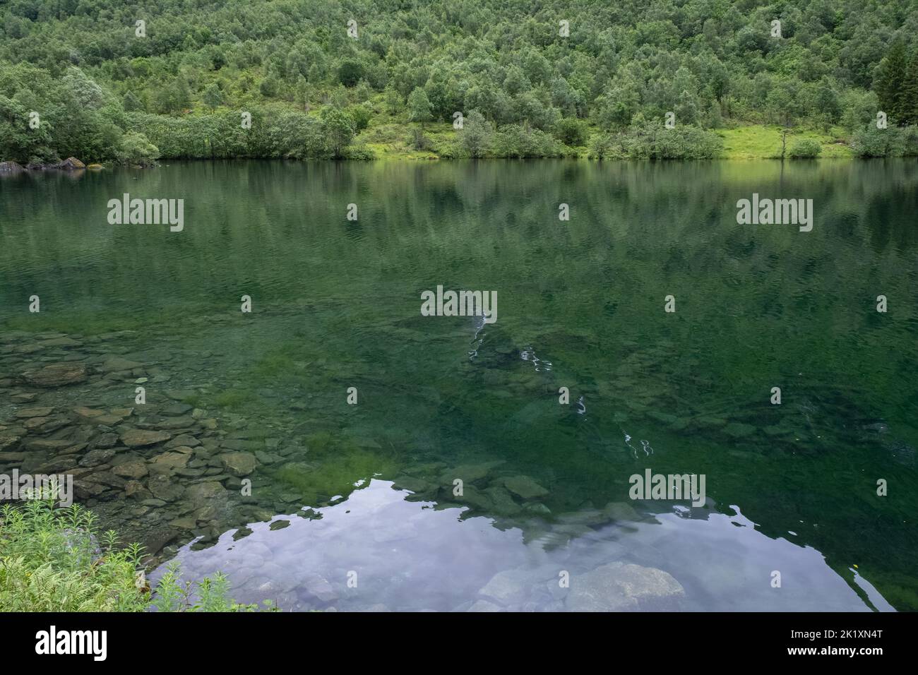Paesaggi meravigliosi in Norvegia. Vestland. Splendido scenario del lago Lygnstoylvatnet. Resti delle fondamenta della casa allagata attraverso la superficie di t Foto Stock