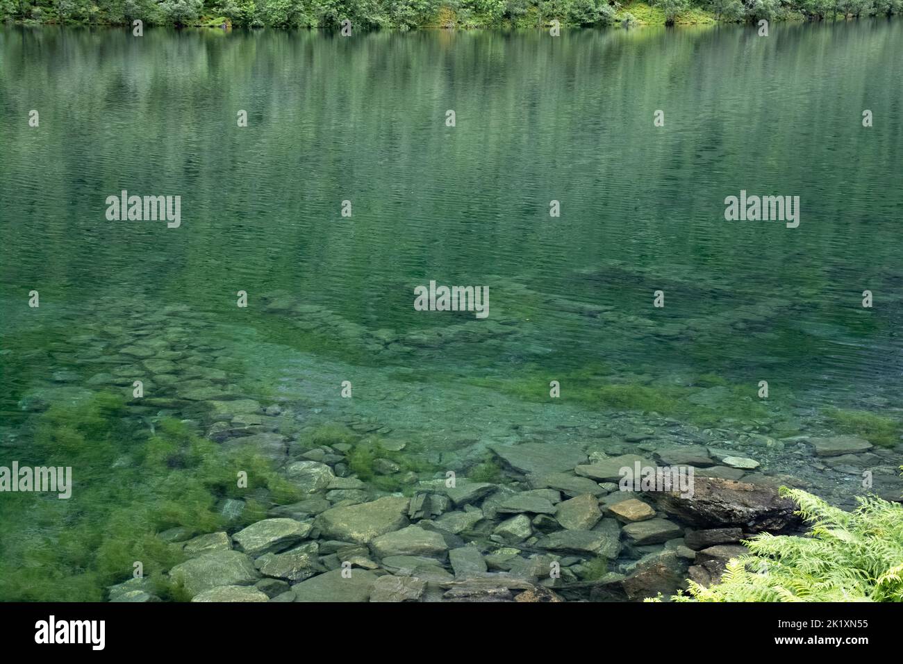 Paesaggi meravigliosi in Norvegia. Vestland. Splendido scenario del lago Lygnstoylvatnet. Resti delle fondamenta della casa allagata attraverso la superficie di t Foto Stock