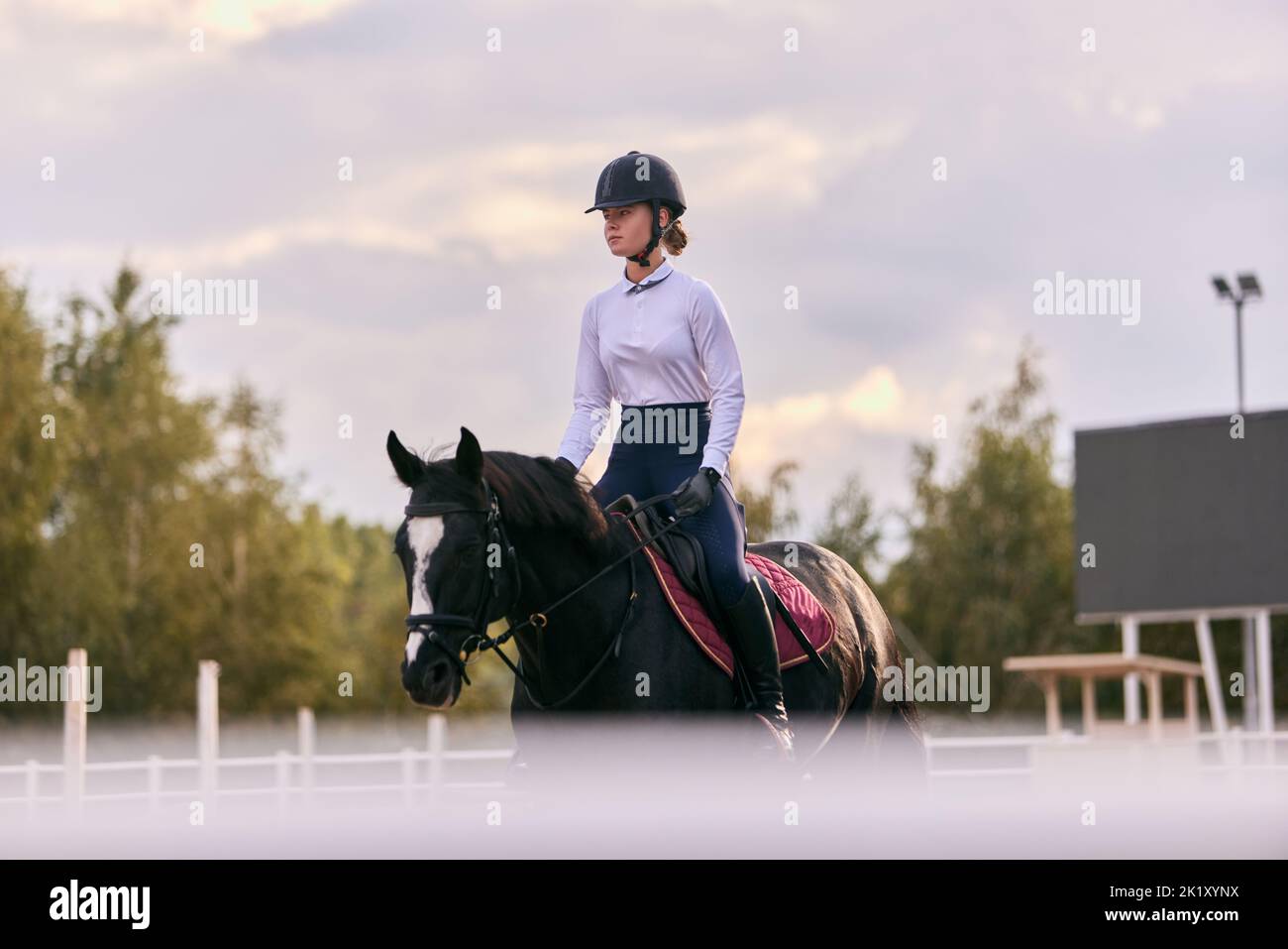 Giovane ragazza sportiva, jockey professionale o cavallo in uniforme sportiva e casco a cavallo nero in arena sportiva. Equitazione Foto Stock