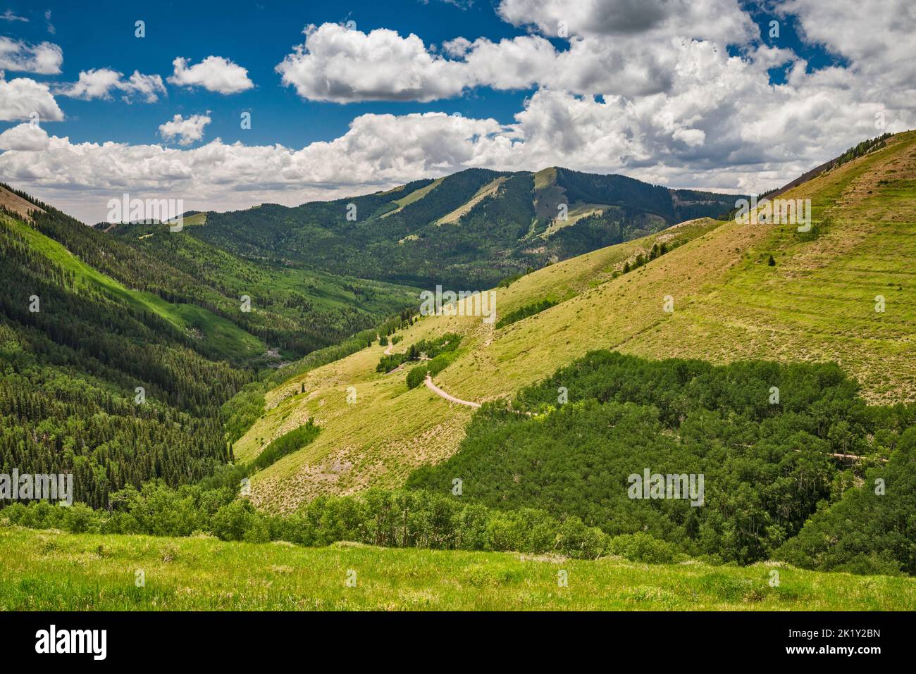 South Peak, canyon di North Creek, vista vicino a Cooley Pass, alias North Creek Pass, Johnson Creek Road (Road 79), Abajo Mountains, vicino a Monticello, Utah, Stati Uniti Foto Stock