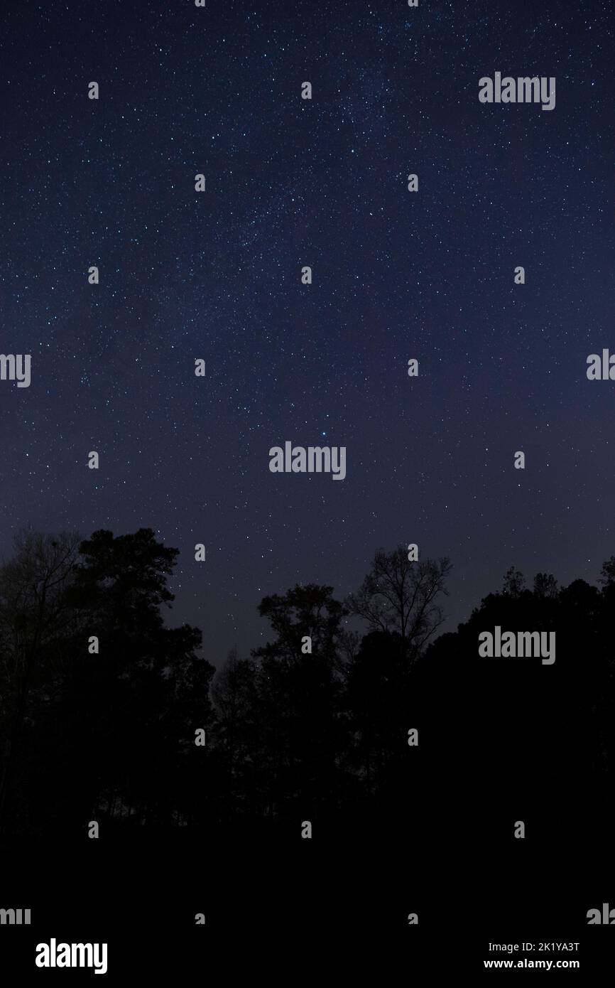 Stelle luminose nel cielo vicino a Raeford nel North Carolina Foto Stock