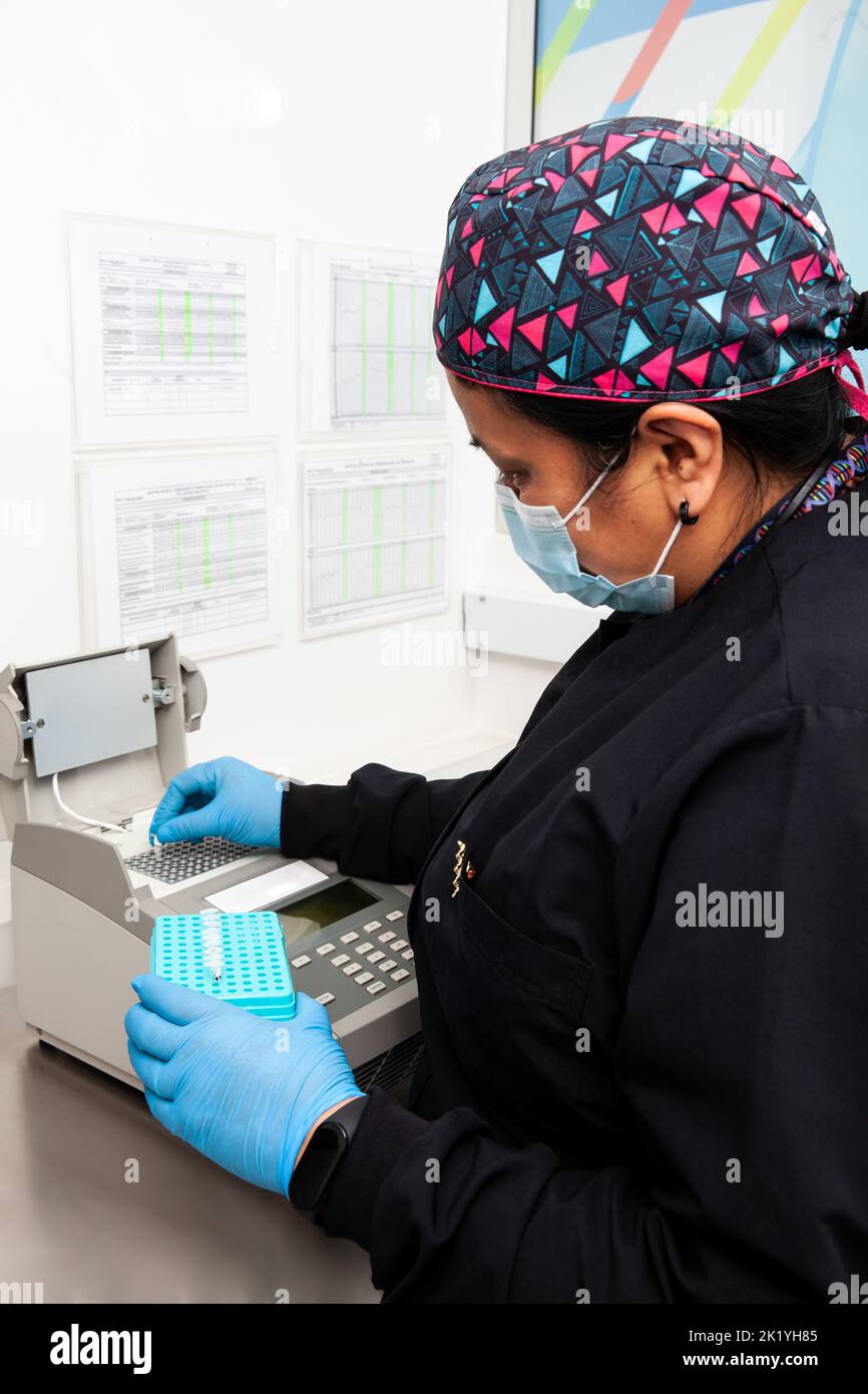 Scienziato femminile che lavora in laboratorio con un termociclatore. Tecnica di reazione a catena della polimerasi. Tecnica PCR Foto Stock