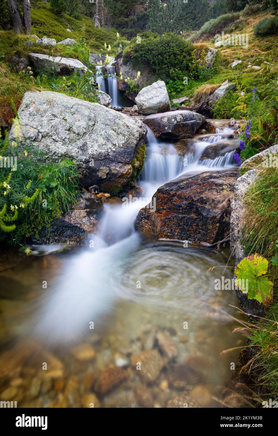 Fiume Ter (riu Ter) a partire molto da Ulldeter / Montagne Vallter. Pirenei catalani. Setcases, El Ripollès, Girona, Catalogna, Spagna. Foto Stock