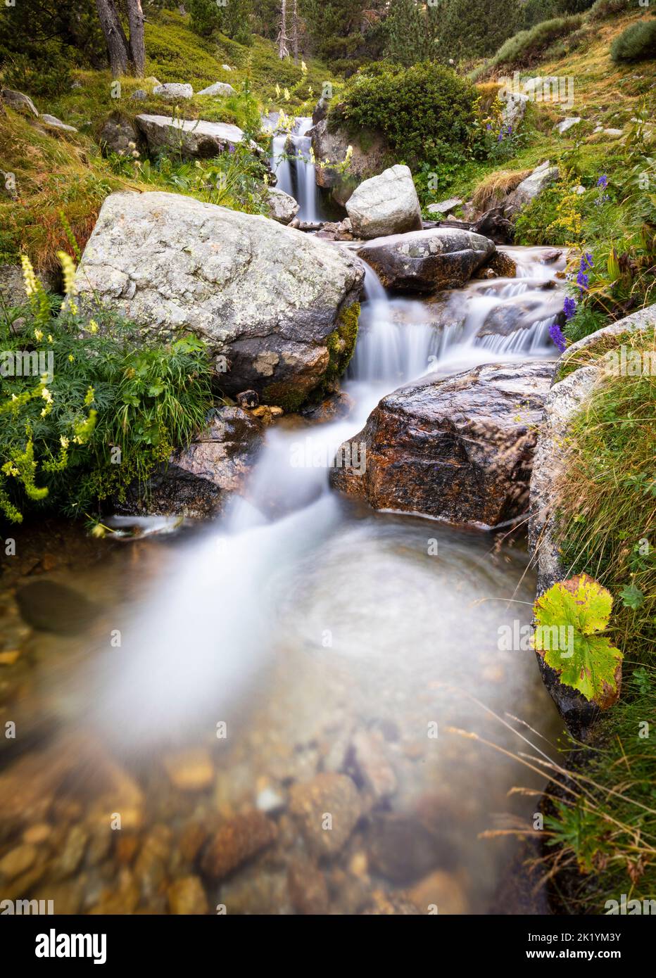 Fiume Ter (riu Ter) a partire molto da Ulldeter / Montagne Vallter. Pirenei catalani. Setcases, El Ripollès, Girona, Catalogna, Spagna. Foto Stock