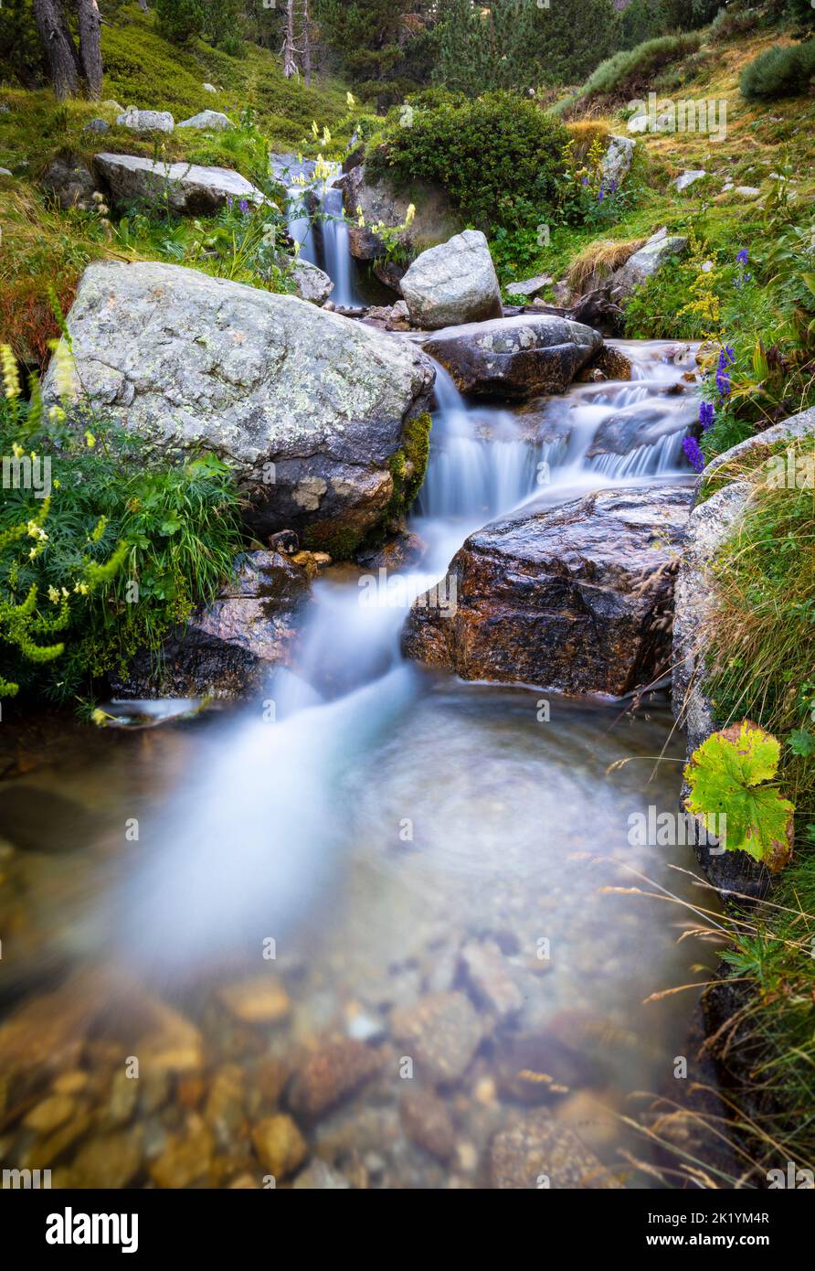 Fiume Ter (riu Ter) a partire molto da Ulldeter / Montagne Vallter. Pirenei catalani. Setcases, El Ripollès, Girona, Catalogna, Spagna. Foto Stock