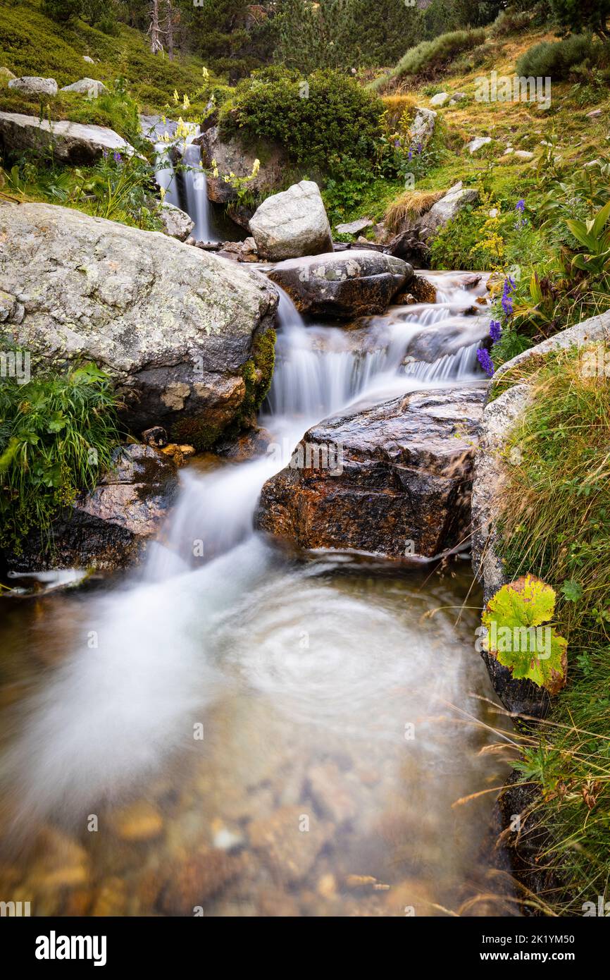 Fiume Ter (riu Ter) a partire molto da Ulldeter / Montagne Vallter. Pirenei catalani. Setcases, El Ripollès, Girona, Catalogna, Spagna. Foto Stock