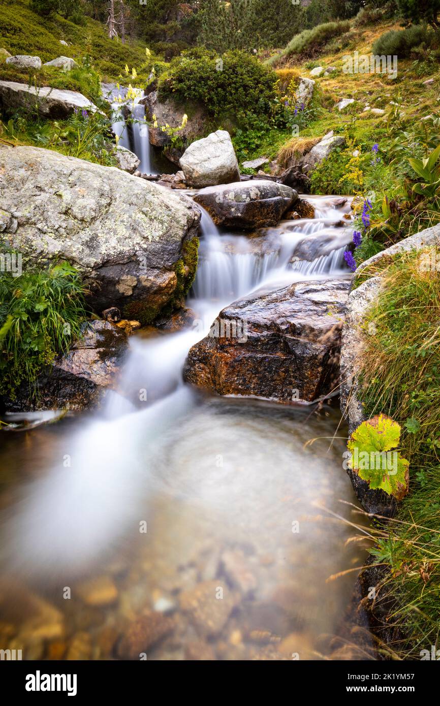 Fiume Ter (riu Ter) a partire molto da Ulldeter / Montagne Vallter. Pirenei catalani. Setcases, El Ripollès, Girona, Catalogna, Spagna. Foto Stock