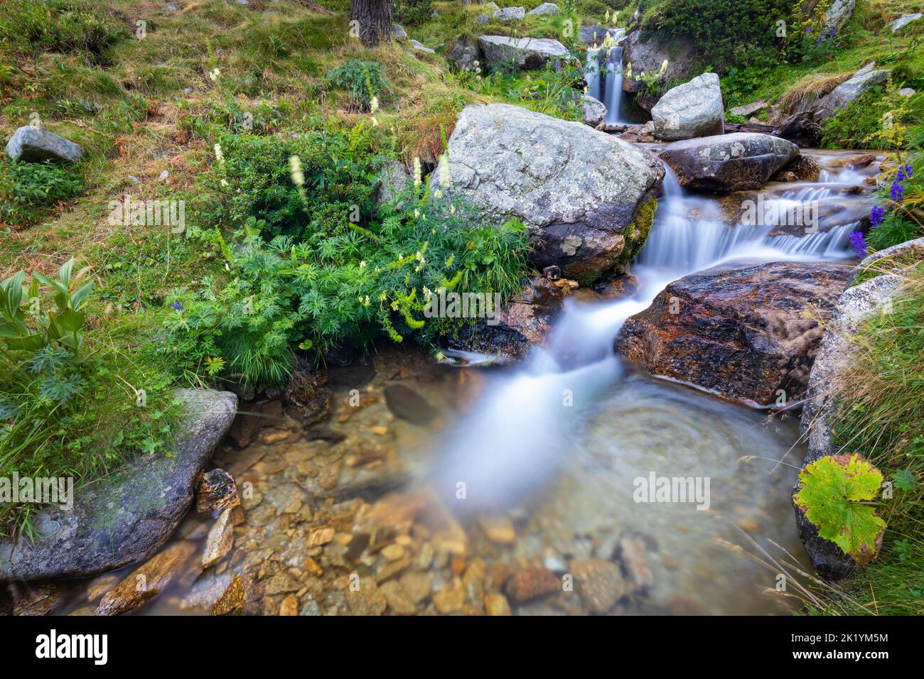 Fiume Ter (riu Ter) a partire molto da Ulldeter / Montagne Vallter. Pirenei catalani. Setcases, El Ripollès, Girona, Catalogna, Spagna. Foto Stock
