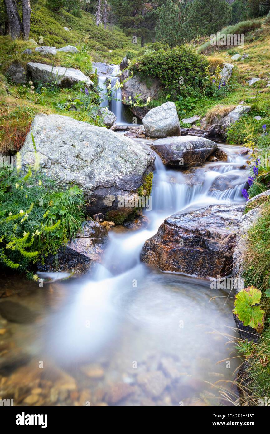 Fiume Ter (riu Ter) a partire molto da Ulldeter / Montagne Vallter. Pirenei catalani. Setcases, El Ripollès, Girona, Catalogna, Spagna. Foto Stock