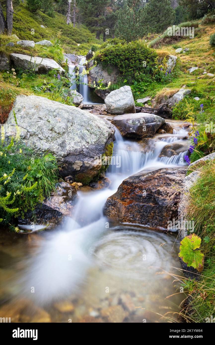 Fiume Ter (riu Ter) a partire molto da Ulldeter / Montagne Vallter. Pirenei catalani. Setcases, El Ripollès, Girona, Catalogna, Spagna. Foto Stock