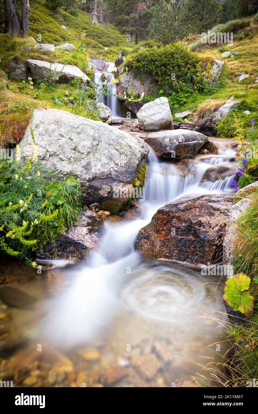 Fiume Ter (riu Ter) a partire molto da Ulldeter / Montagne Vallter. Pirenei catalani. Setcases, El Ripollès, Girona, Catalogna, Spagna. Foto Stock