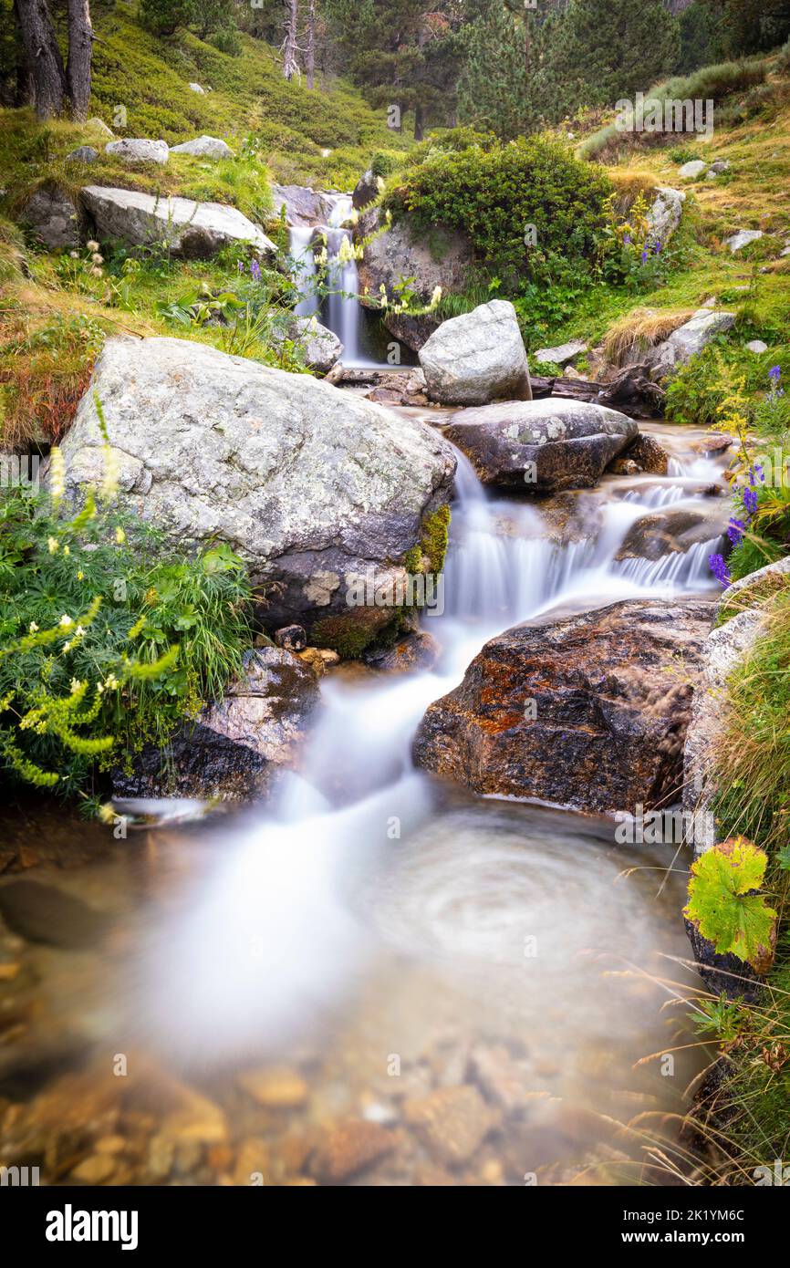 Fiume Ter (riu Ter) a partire molto da Ulldeter / Montagne Vallter. Pirenei catalani. Setcases, El Ripollès, Girona, Catalogna, Spagna. Foto Stock
