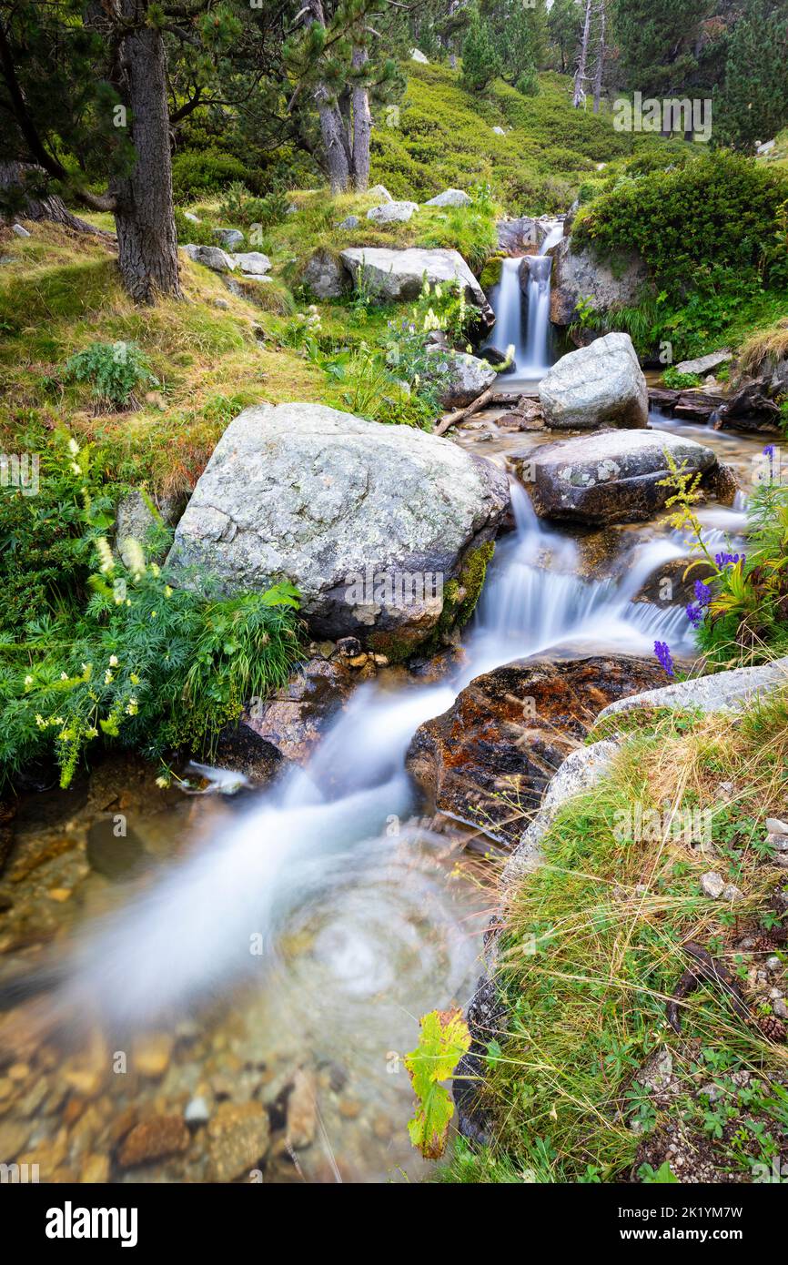 Fiume Ter (riu Ter) a partire molto da Ulldeter / Montagne Vallter. Pirenei catalani. Setcases, El Ripollès, Girona, Catalogna, Spagna. Foto Stock