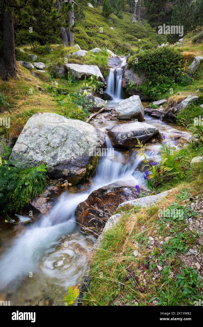 Fiume Ter (riu Ter) a partire molto da Ulldeter / Montagne Vallter. Pirenei catalani. Setcases, El Ripollès, Girona, Catalogna, Spagna. Foto Stock