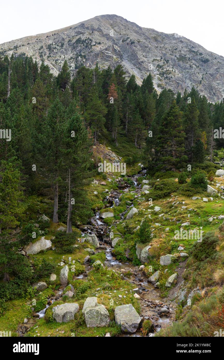 Fiume Ter (riu Ter) a partire molto da Ulldeter / Montagne Vallter. Pirenei catalani. Setcases, El Ripollès, Girona, Catalogna, Spagna. Foto Stock