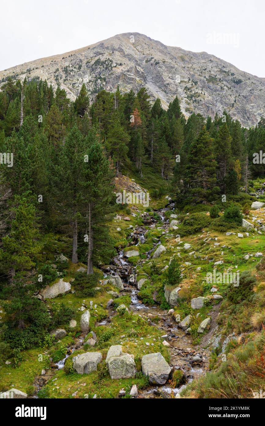 Fiume Ter (riu Ter) a partire molto da Ulldeter / Montagne Vallter. Pirenei catalani. Setcases, El Ripollès, Girona, Catalogna, Spagna. Foto Stock