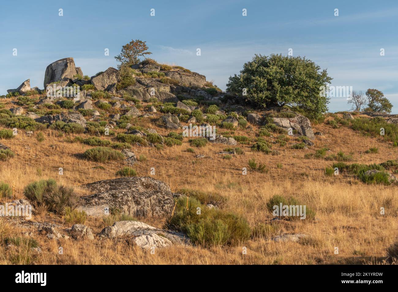 Paesaggio in Aubrac in estate, ispiratore, infinito, incantevole, magico, tranquillo, ammaliante. Cévennes Francia. Foto Stock