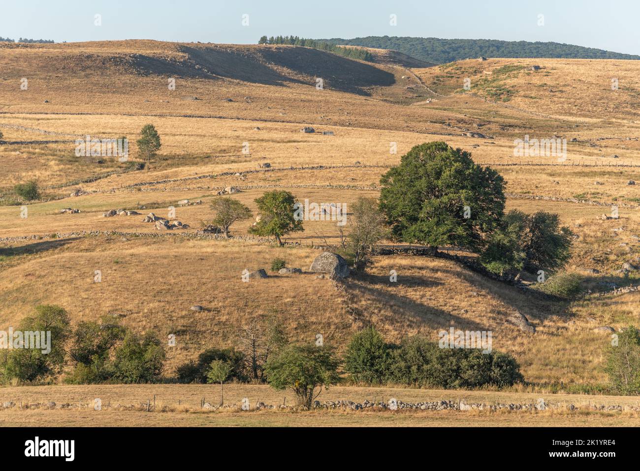 Paesaggio in Aubrac in estate, ispiratore, infinito, incantevole, magico, tranquillo, ammaliante. Cévennes Francia. Foto Stock