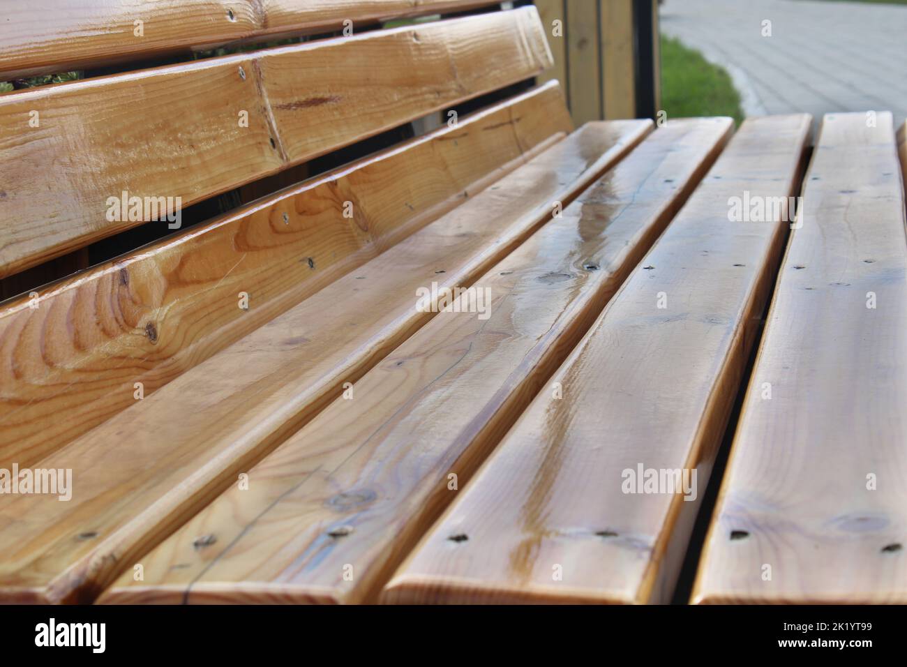 Panca in legno chiaro in primo piano nel parco cittadino. Architettura urbana. Foto Stock