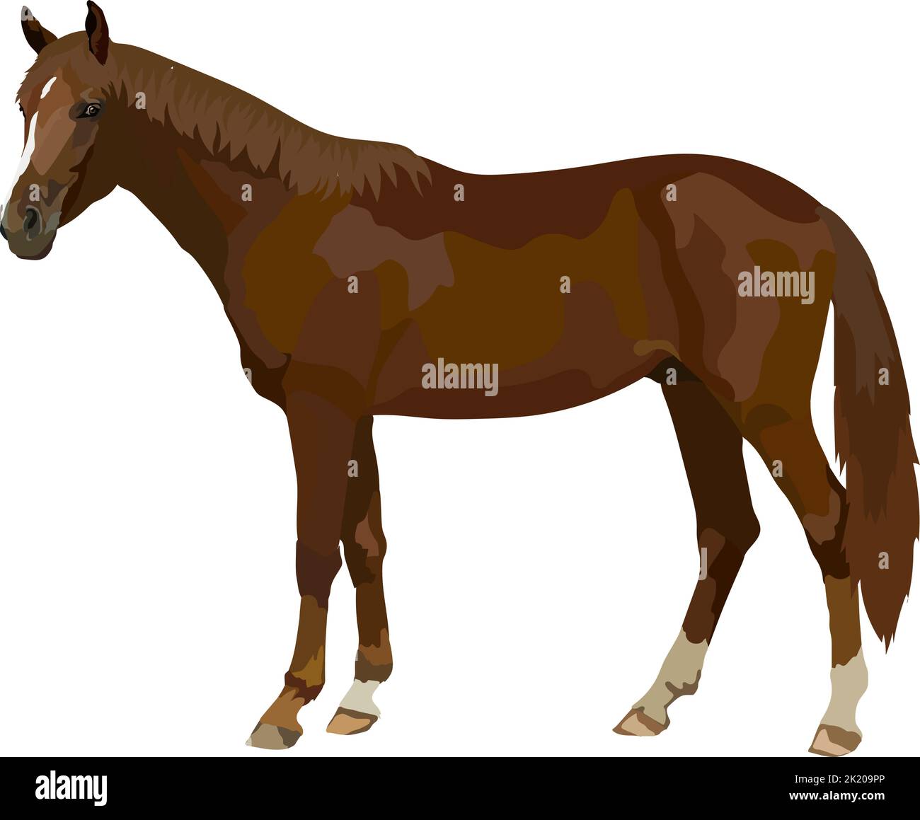 Cavallo icona realistica vettore illustrazione animale selvatico. Illustrazione Vettoriale