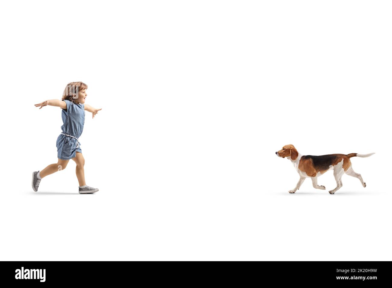 Profilo a tutta lunghezza girato di una ragazza felice che corre per abbracciare un cane isolato su sfondo bianco Foto Stock