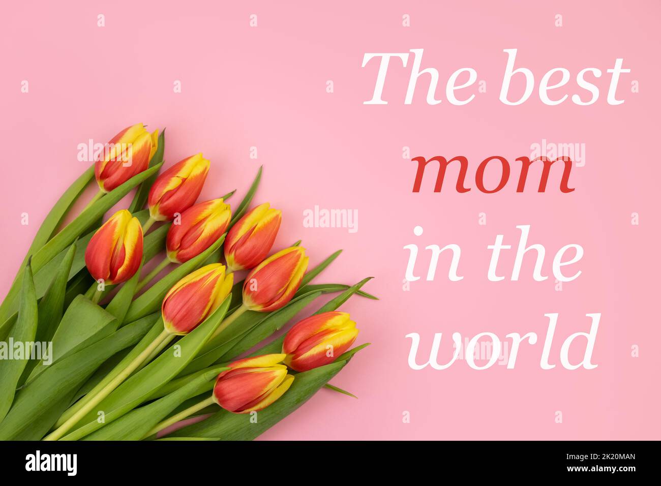 Tulipani sono , su uno sfondo rosa e il testo LA MIGLIORE MAMMA DEL MONDO Foto Stock