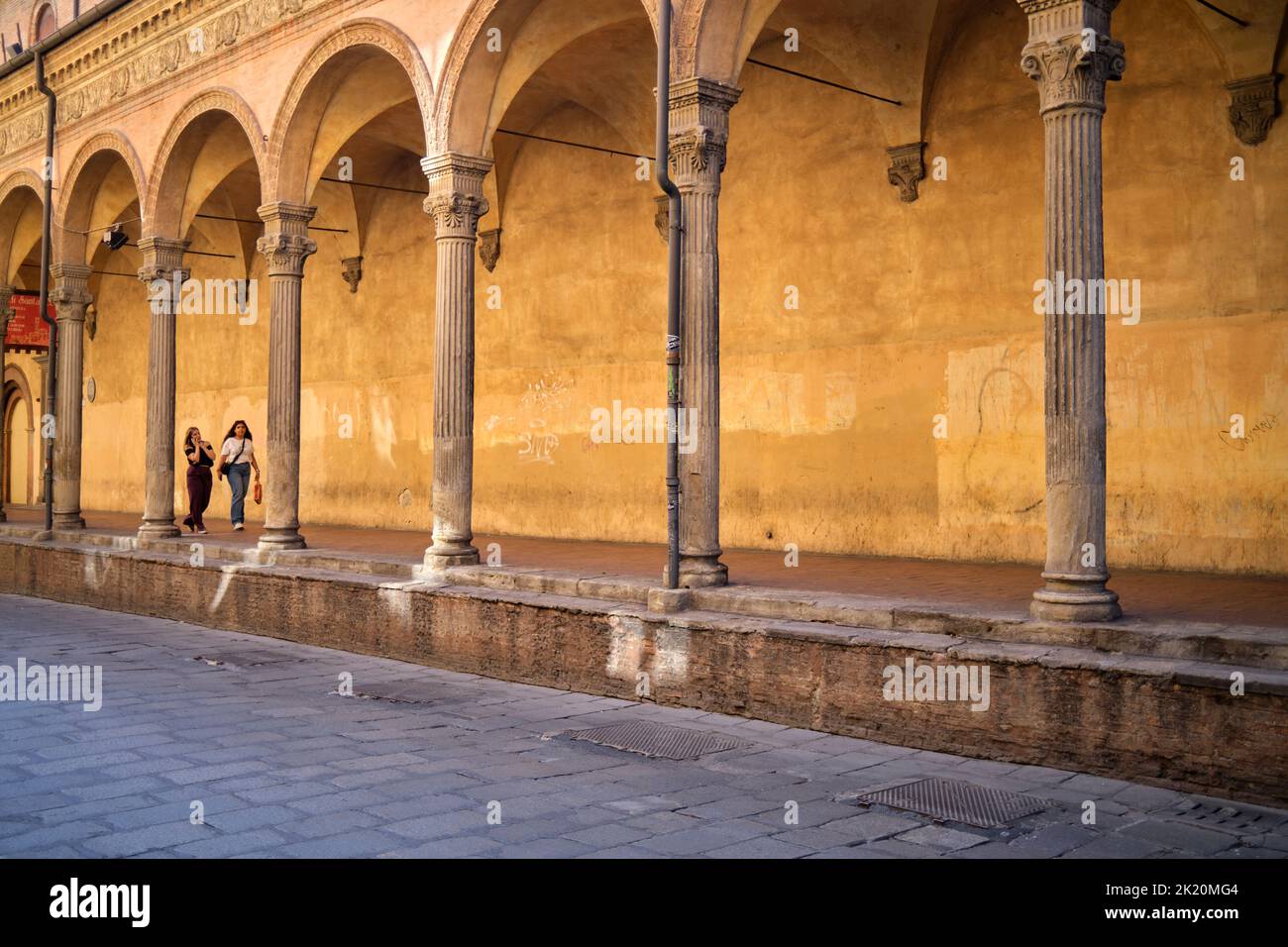 Historico Portico Arcades lungo via Zamboni Bologna Italia Foto Stock