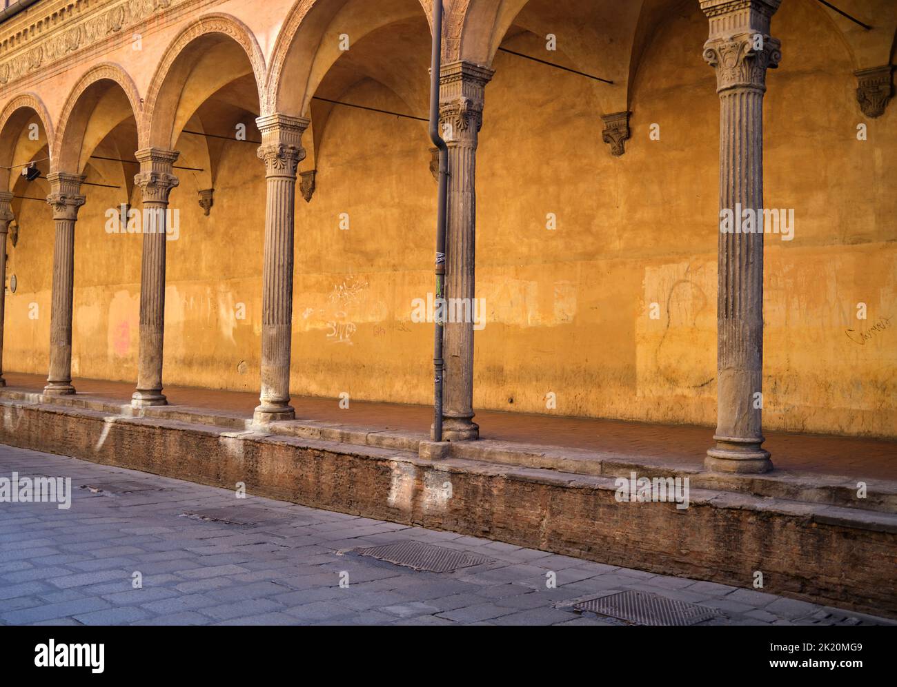 Historico Portico Arcades lungo via Zamboni Bologna Italia Foto Stock