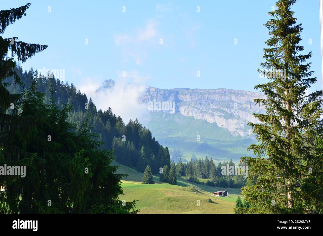 Vista panoramica delle pareti rocciose all'orizzonte nelle Alpi svizzere Foto Stock