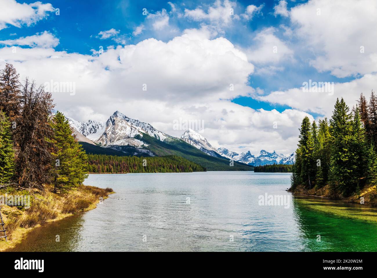 Maligne Lake Outlet; Jasper National Park; Alberta; Canada Foto Stock