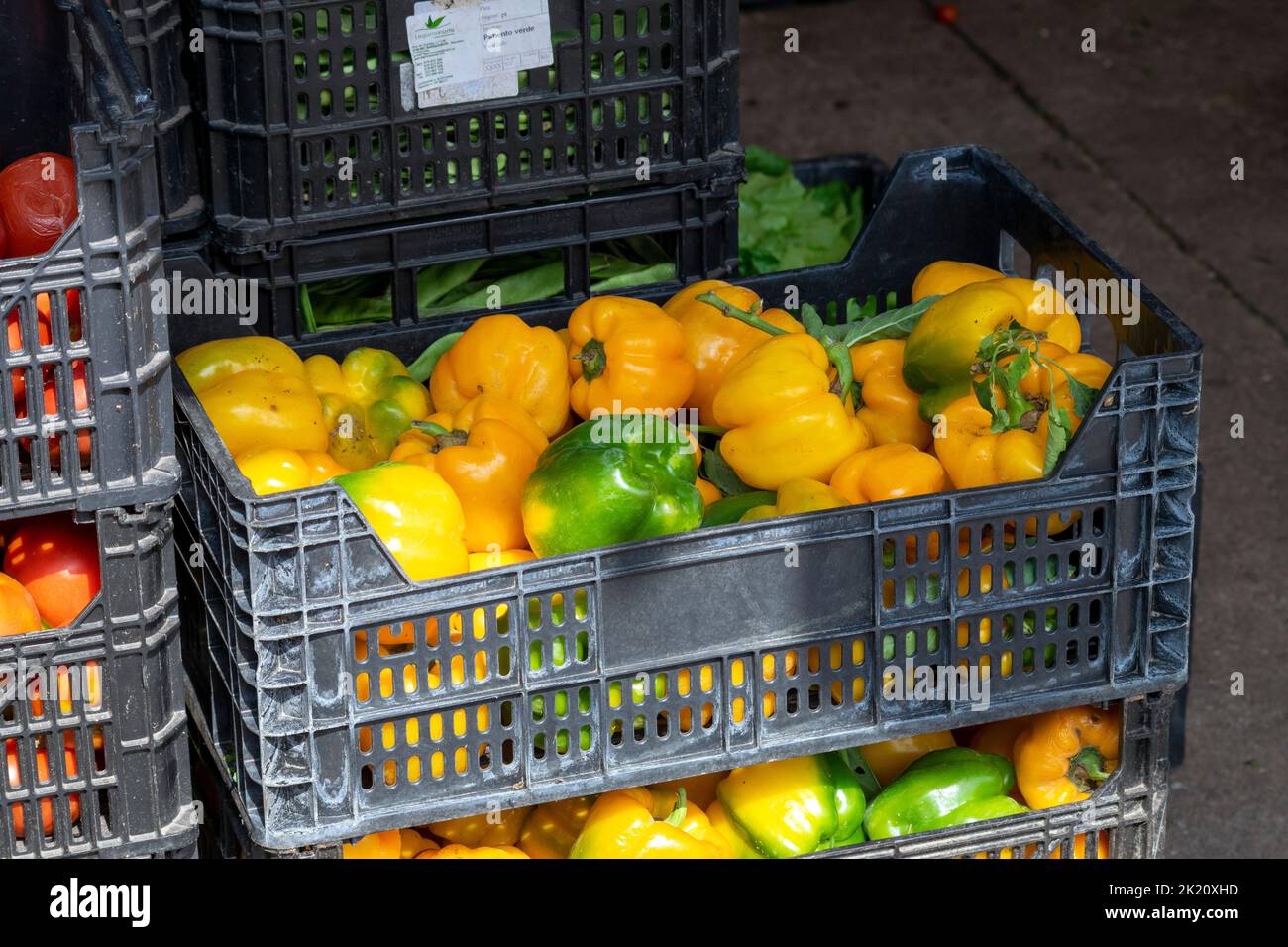 Verdure fresche con prodotti freschi sul mercato. Prodotti vegani healty. Mercado Apúlia. I prodotti del ristorante servono per preparare cibi freschi e aromatizzati. Foto Stock