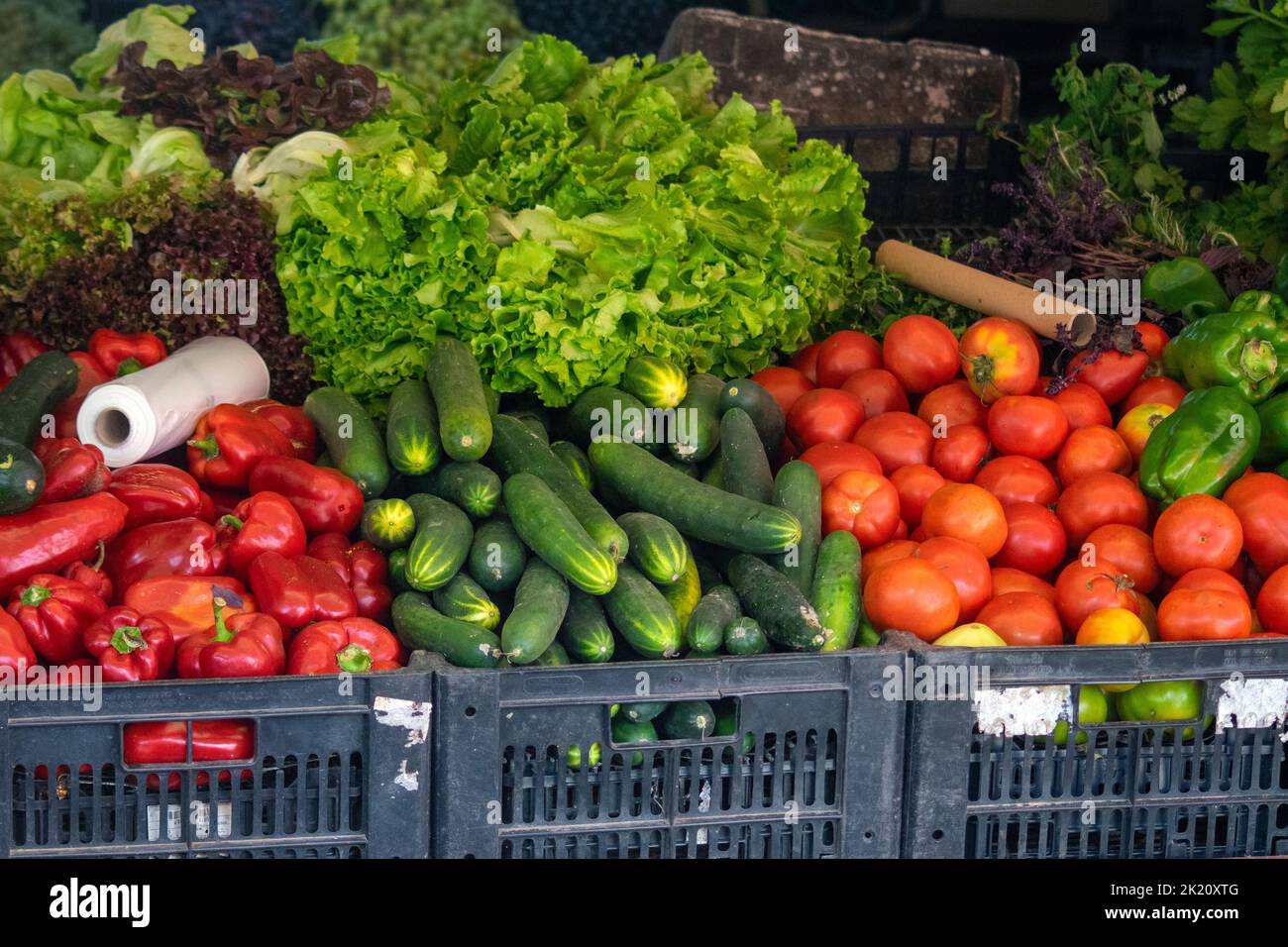 Verdure fresche con prodotti freschi sul mercato. Prodotti vegani healty. Mercado Apúlia. I prodotti del ristorante servono per preparare cibi freschi e aromatizzati. Foto Stock